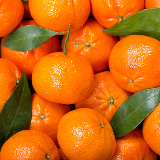 Tangerine essential oil image 0